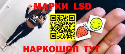 гидра Новозыбков