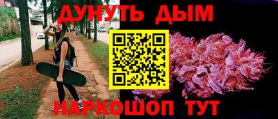 гидра Новозыбков