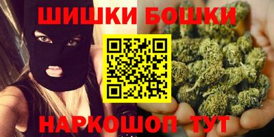 гидра Новозыбков