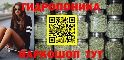 гидра Новозыбков