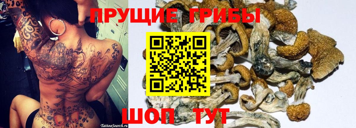 Псилоцибиновые грибы Magic Shrooms Среднеуральск